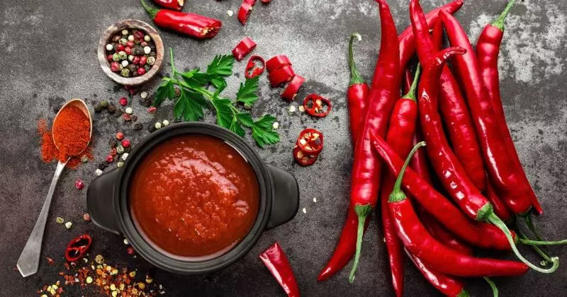 What Is Hot Chilli Food and Travel Blog